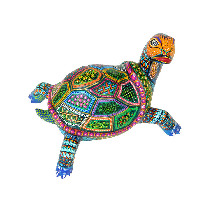 Manuel Cruz: Little Patchwork Turtle