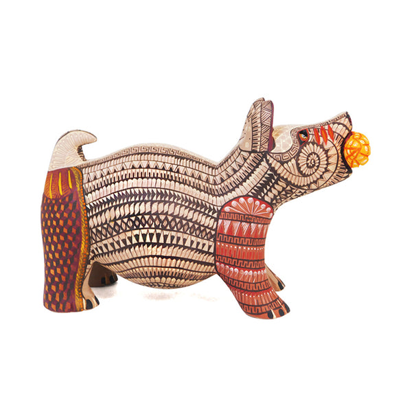 Ana Salmeron: Prehispanic Guardian Colima Dog