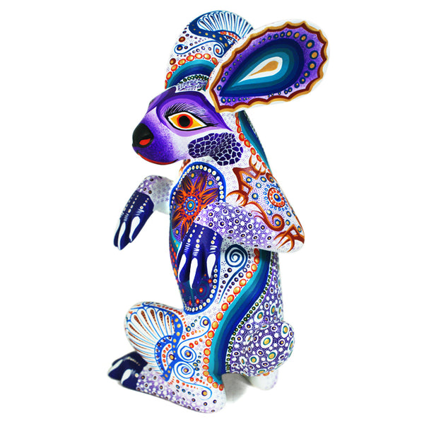 Luis Sosa: Rabbit