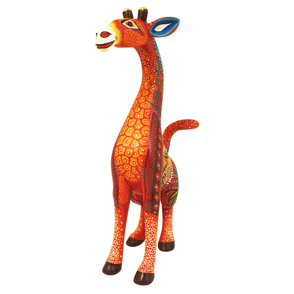 Luis Sosa: Gorgeous Giraffe