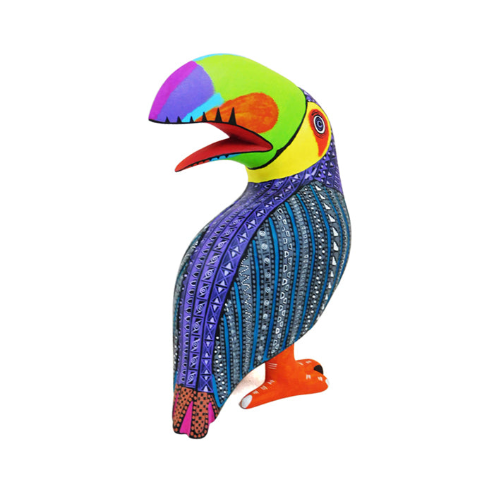 Lauro Ramirez: Toucan