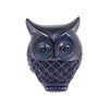 Barro Negro: Little Owl