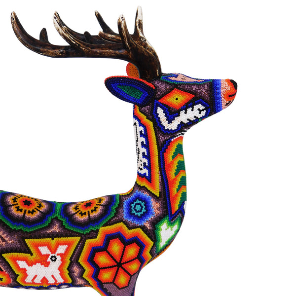 Huichol: Impressive Deer