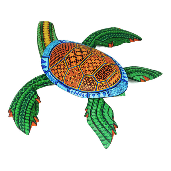 Isabel Fabian: Delicate Turtle