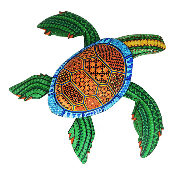 Isabel Fabian: Delicate Turtle