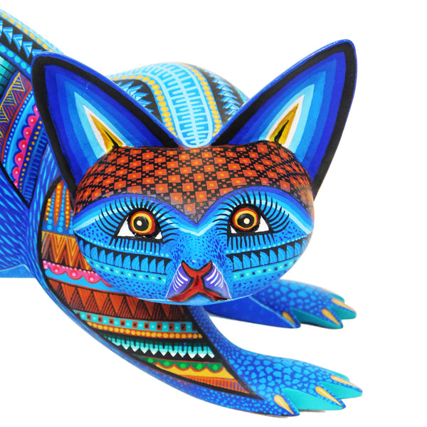 Julia Fuentes: One-Piece Rainbow Raccoon