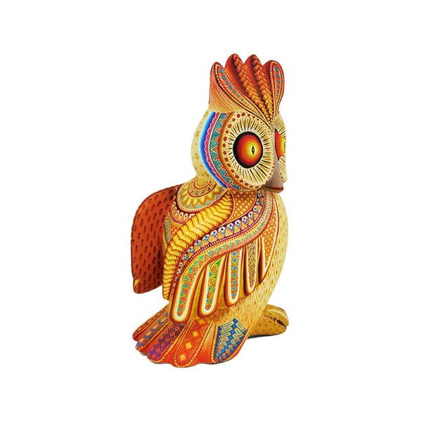 Julia Fuentes: Sunny Owl