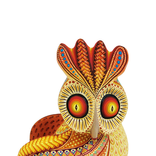 Julia Fuentes: Sunny Owl