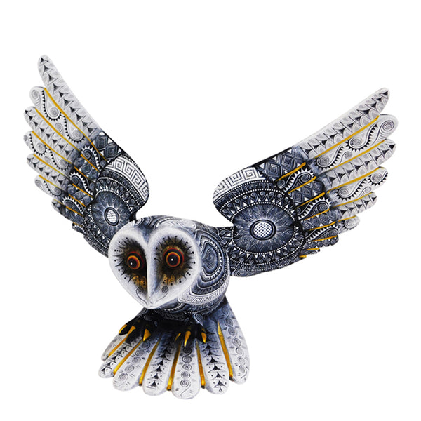 Rocio Fabian: Flying Owl