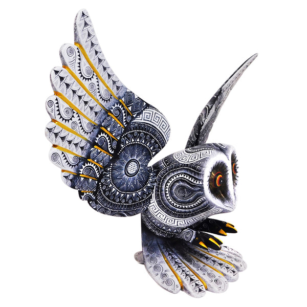 Rocio Fabian: Flying Owl