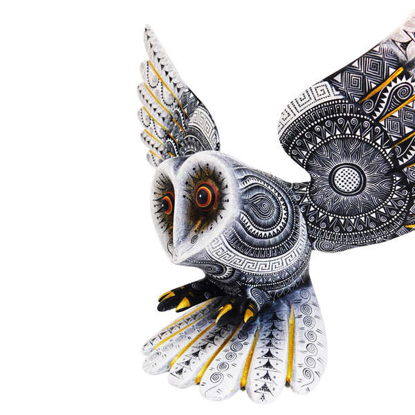 Rocio Fabian: Flying Owl