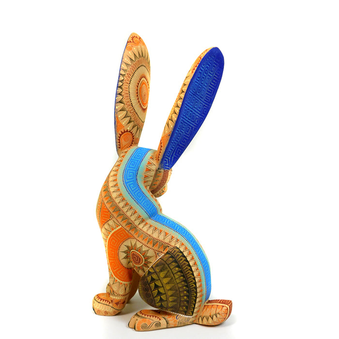 Rocio Fabian: Gorgeous Sun Rabbit